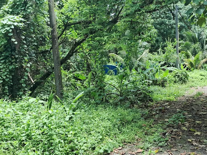 Bungalow Land