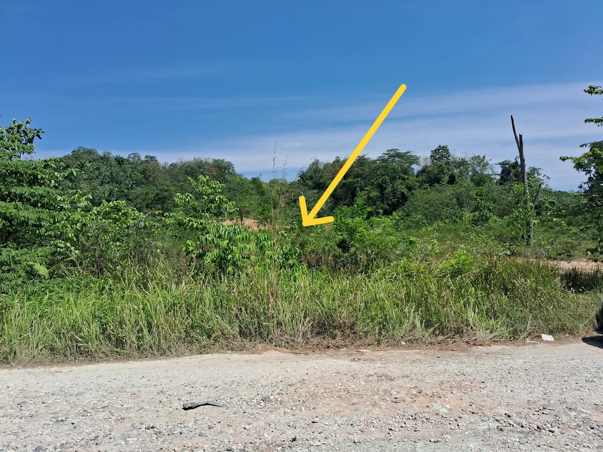 Agricultural Land, 6 acres 1/3